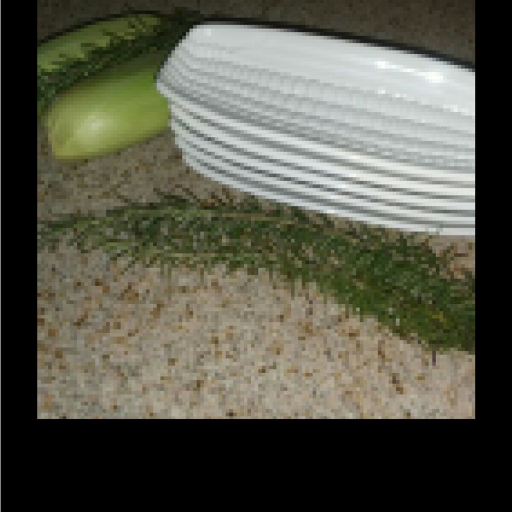CORN PLATES SET OF 2 - Picture 3 of 4
